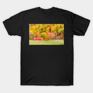 Autumn Colors Near Lake Ainslie T-Shirt